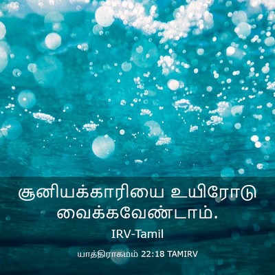 Picture 03 - யாத்திராகமம் 22:18 TAMIRV - சூனியக்காரியை - Bible Verse Picture