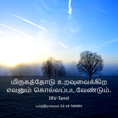 Picture 03 - யாத்திராகமம் 22:19 TAMIRV - மிருகத்தோடு - Bible Verse Picture