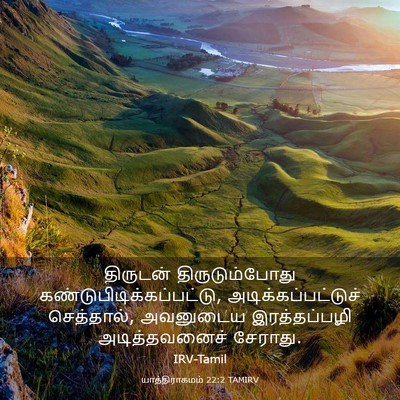 Picture 03 - யாத்திராகமம் 22:2 TAMIRV - திருடன் - Bible Verse Picture