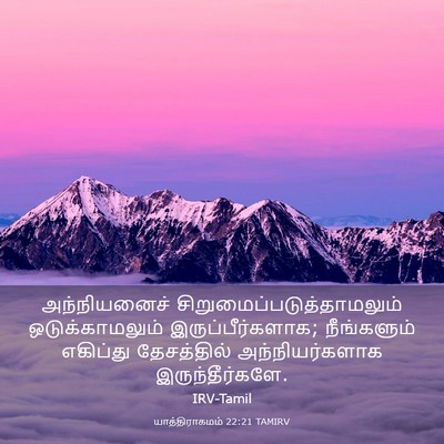 Picture 03 - யாத்திராகமம் 22:21 TAMIRV - அந்நியனைச் - Bible Verse Picture