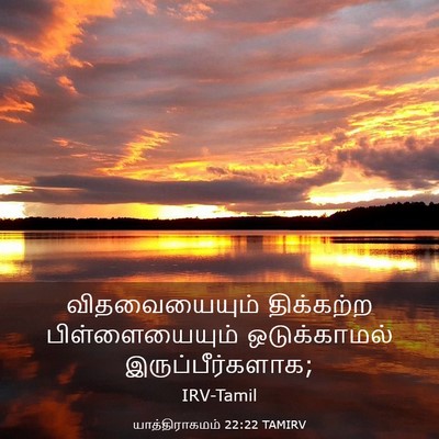 Picture 03 - யாத்திராகமம் 22:22 TAMIRV - விதவையையும் - Bible Verse Picture