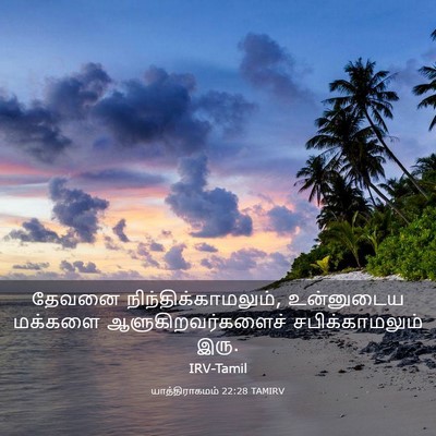 Picture 03 - யாத்திராகமம் 22:28 TAMIRV - தேவனை - Bible Verse Picture