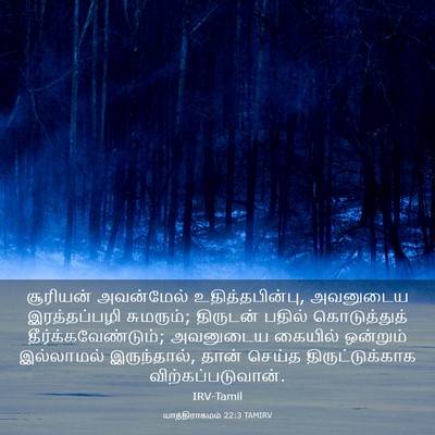 Picture 03 - யாத்திராகமம் 22:3 TAMIRV - சூரியன் அவன்மேல் - Bible Verse Picture