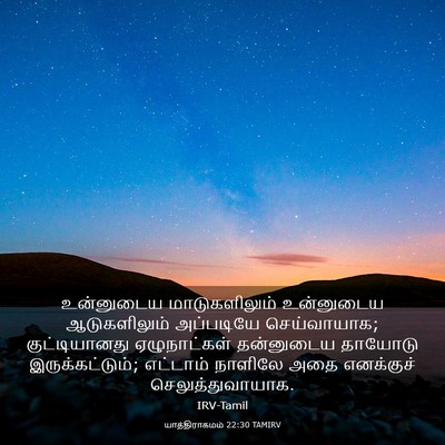 Picture 03 - யாத்திராகமம் 22:30 TAMIRV - உன்னுடைய - Bible Verse Picture