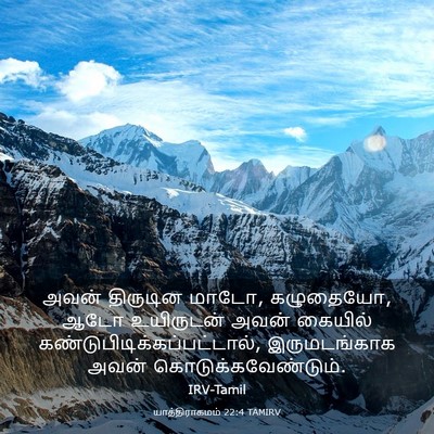 Picture 03 - யாத்திராகமம் 22:4 TAMIRV - அவன் திருடின மாடோ, - Bible Verse Picture