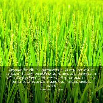 Picture 03 - யாத்திராகமம் 22:7 TAMIRV - ஒருவன் பிறனிடம் - Bible Verse Picture