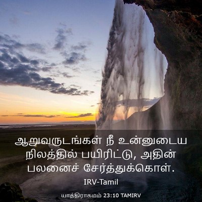 Picture 03 - யாத்திராகமம் 23:10 TAMIRV - ஆறுவருடங்கள் நீ - Bible Verse Picture