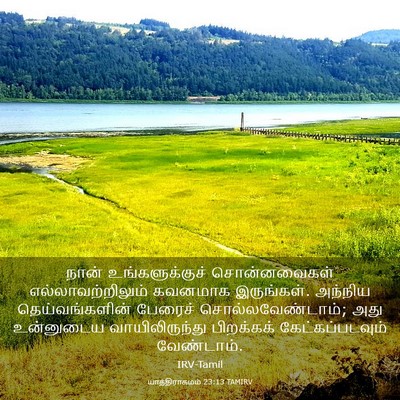 Picture 03 - யாத்திராகமம் 23:13 TAMIRV - நான் உங்களுக்குச் - Bible Verse Picture