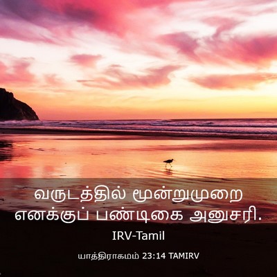 Picture 03 - யாத்திராகமம் 23:14 TAMIRV - வருடத்தில் - Bible Verse Picture