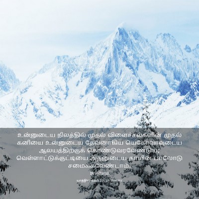 Picture 03 - யாத்திராகமம் 23:19 TAMIRV - உன்னுடைய - Bible Verse Picture