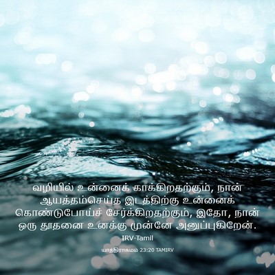 Picture 03 - யாத்திராகமம் 23:20 TAMIRV - வழியில் உன்னைக் - Bible Verse Picture