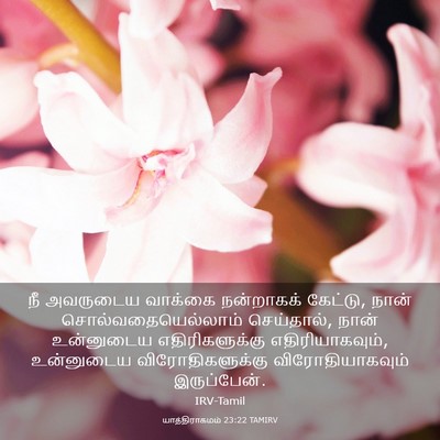 Picture 03 - யாத்திராகமம் 23:22 TAMIRV - நீ அவருடைய வாக்கை - Bible Verse Picture