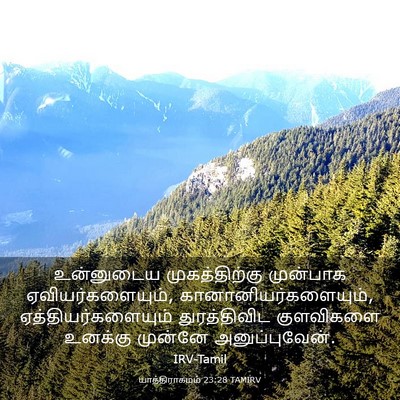 Picture 03 - யாத்திராகமம் 23:28 TAMIRV - உன்னுடைய - Bible Verse Picture
