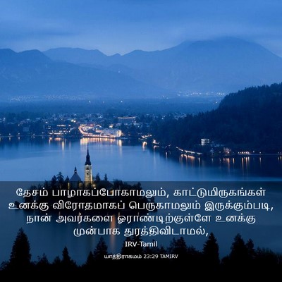 Picture 03 - யாத்திராகமம் 23:29 TAMIRV - தேசம் - Bible Verse Picture