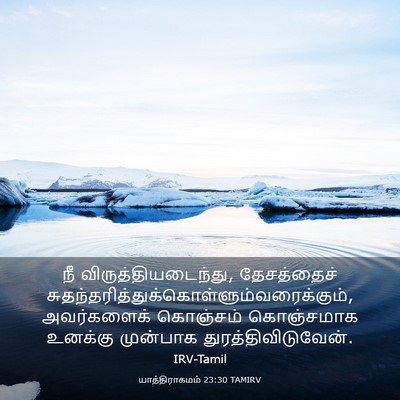 Picture 03 - யாத்திராகமம் 23:30 TAMIRV - நீ - Bible Verse Picture