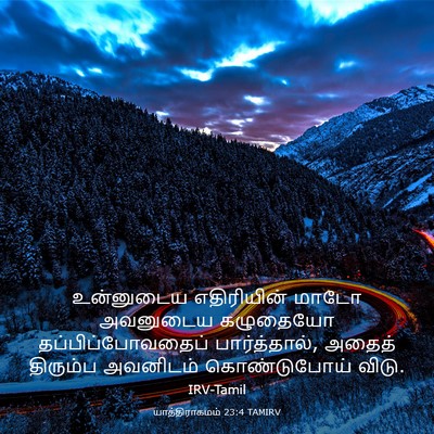 Picture 03 - யாத்திராகமம் 23:4 TAMIRV - உன்னுடைய - Bible Verse Picture