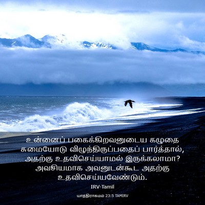 Picture 03 - யாத்திராகமம் 23:5 TAMIRV - உன்னைப் - Bible Verse Picture