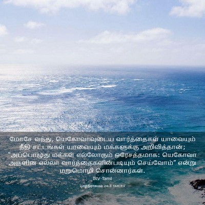 Picture 03 - யாத்திராகமம் 24:3 TAMIRV - மோசே வந்து, - Bible Verse Picture