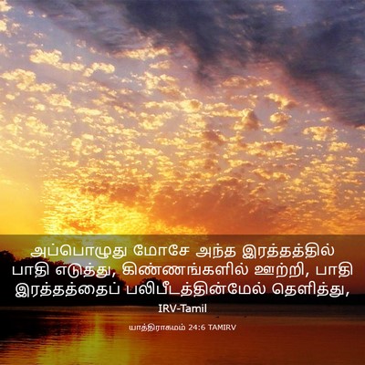 Picture 03 - யாத்திராகமம் 24:6 TAMIRV - அப்பொழுது மோசே - Bible Verse Picture