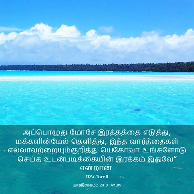Picture 03 - யாத்திராகமம் 24:8 TAMIRV - அப்பொழுது மோசே - Bible Verse Picture