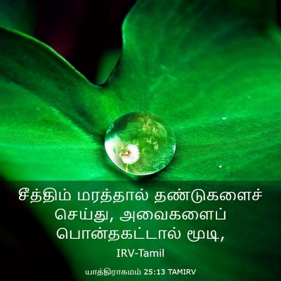 Picture 03 - யாத்திராகமம் 25:13 TAMIRV - சீத்திம் மரத்தால் - Bible Verse Picture