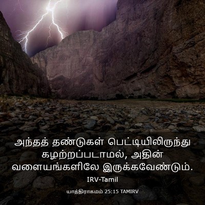 Picture 03 - யாத்திராகமம் 25:15 TAMIRV - அந்தத் தண்டுகள் - Bible Verse Picture