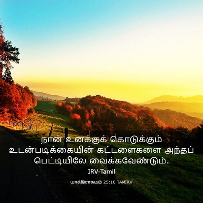 Picture 03 - யாத்திராகமம் 25:16 TAMIRV - நான் உனக்குக் - Bible Verse Picture