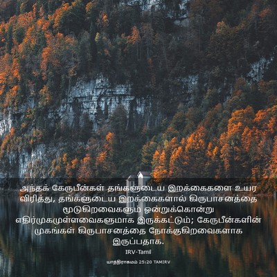 Picture 03 - யாத்திராகமம் 25:20 TAMIRV - அந்தக் - Bible Verse Picture