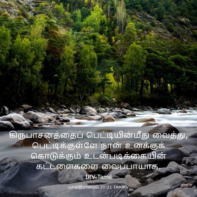 Picture 03 - யாத்திராகமம் 25:21 TAMIRV - கிருபாசனத்தைப் - Bible Verse Picture