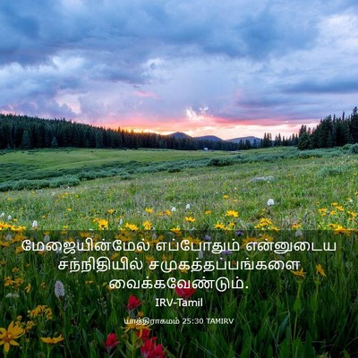 Picture 03 - யாத்திராகமம் 25:30 TAMIRV - மேஜையின்மேல் - Bible Verse Picture
