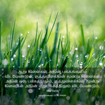 Picture 03 - யாத்திராகமம் 25:32 TAMIRV - ஆறு கிளைகள் அதின் - Bible Verse Picture