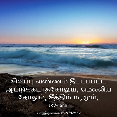 Picture 03 - யாத்திராகமம் 25:5 TAMIRV - சிவப்பு வண்ணம் - Bible Verse Picture
