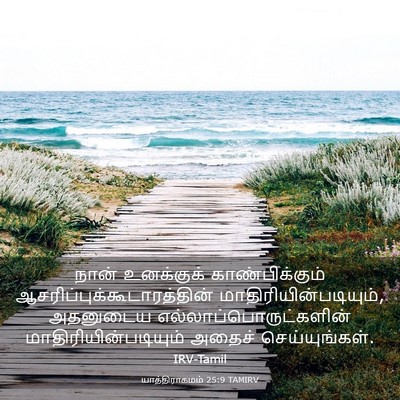 Picture 03 - யாத்திராகமம் 25:9 TAMIRV - நான் உனக்குக் - Bible Verse Picture