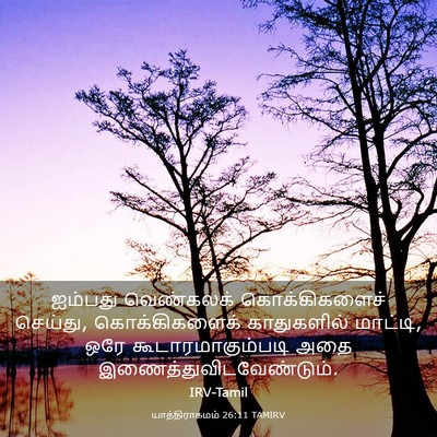 Picture 03 - யாத்திராகமம் 26:11 TAMIRV - ஐம்பது வெண்கலக் - Bible Verse Picture