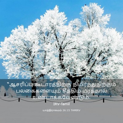 Picture 03 - யாத்திராகமம் 26:15 TAMIRV - “ஆசரிப்பு - Bible Verse Picture