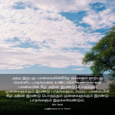 Picture 03 - யாத்திராகமம் 26:19 TAMIRV - அந்த இருபது - Bible Verse Picture