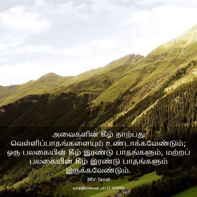Picture 03 - யாத்திராகமம் 26:21 TAMIRV - அவைகளின் கீழ் - Bible Verse Picture