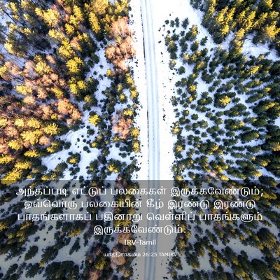 Picture 03 - யாத்திராகமம் 26:25 TAMIRV - அந்தப்படி எட்டுப் - Bible Verse Picture