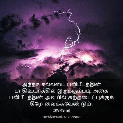 Picture 03 - யாத்திராகமம் 27:5 TAMIRV - அந்தச் சல்லடை - Bible Verse Picture