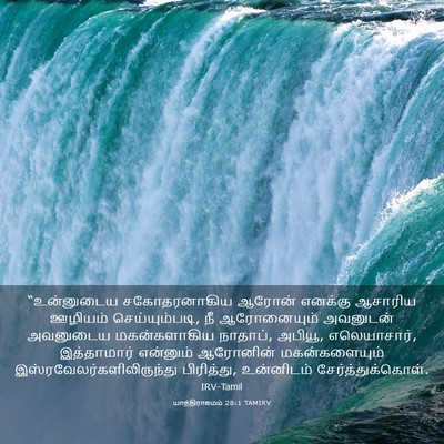 Picture 03 - யாத்திராகமம் 28:1 TAMIRV - “உன்னுடைய - Bible Verse Picture