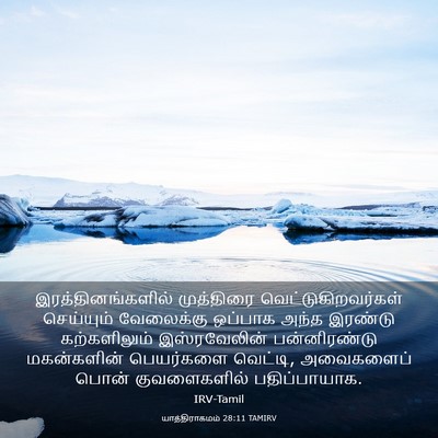 Picture 03 - யாத்திராகமம் 28:11 TAMIRV - இரத்தினங்களில் - Bible Verse Picture