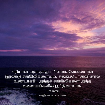 Picture 03 - யாத்திராகமம் 28:14 TAMIRV - சரியான அளவுக்குப் - Bible Verse Picture