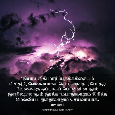Picture 03 - யாத்திராகமம் 28:15 TAMIRV - “நியாயவிதி - Bible Verse Picture