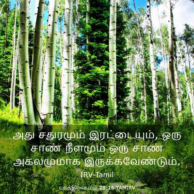 Picture 03 - யாத்திராகமம் 28:16 TAMIRV - அது சதுரமும் - Bible Verse Picture