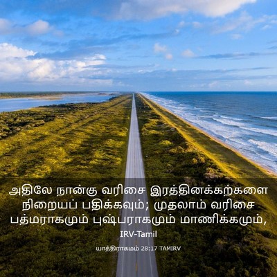 Picture 03 - யாத்திராகமம் 28:17 TAMIRV - அதிலே நான்கு - Bible Verse Picture