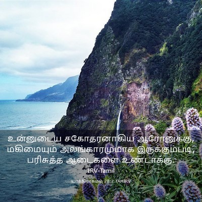 Picture 03 - யாத்திராகமம் 28:2 TAMIRV - உன்னுடைய - Bible Verse Picture