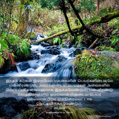 Picture 03 - யாத்திராகமம் 28:21 TAMIRV - இந்தக் கற்கள் - Bible Verse Picture
