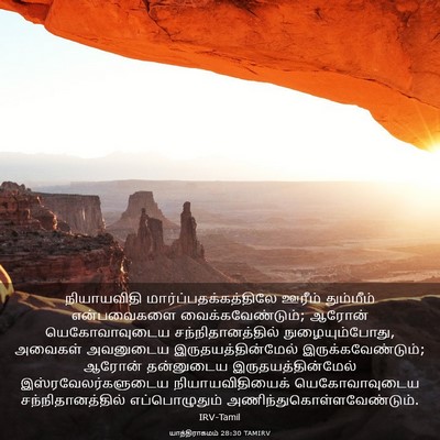 Picture 03 - யாத்திராகமம் 28:30 TAMIRV - நியாயவிதி - Bible Verse Picture