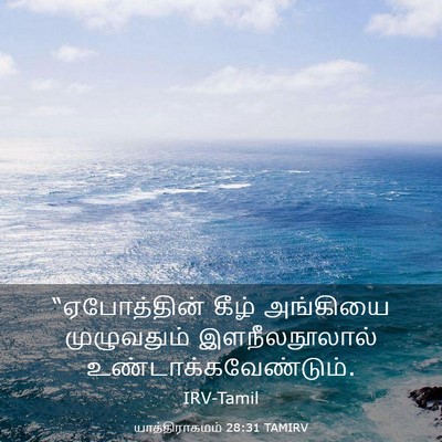 Picture 03 - யாத்திராகமம் 28:31 TAMIRV - “ஏபோத்தின் கீழ் - Bible Verse Picture