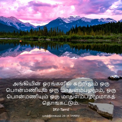 Picture 03 - யாத்திராகமம் 28:34 TAMIRV - அங்கியின் - Bible Verse Picture